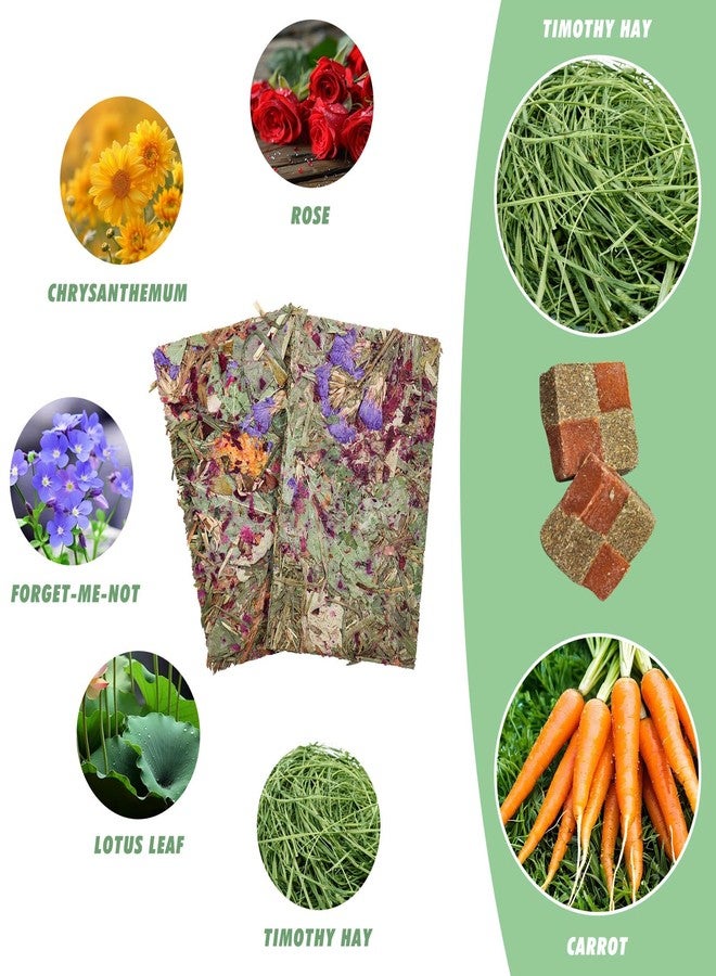 MHLLGN 12 Pack Timothy Hay Treats, Timothy Hay Cubes and Chips, Natural Chew Toys for Teeth, Chewing Stuff for Bunny, Hamster, Guinea Pig, Chinchilla, Rabbit, and Other Small Animals - Image 3